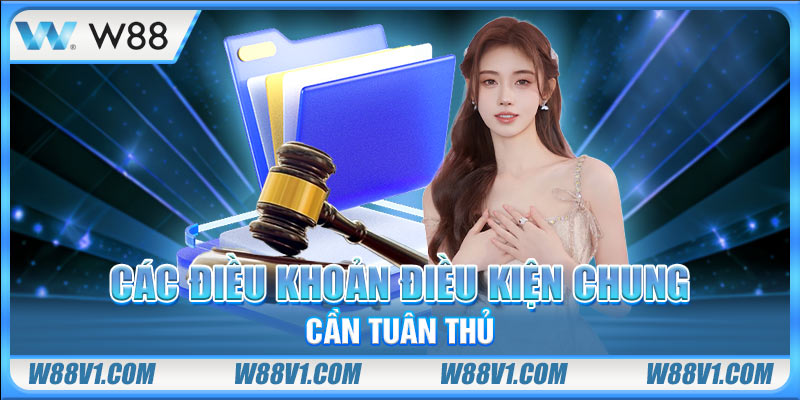 Điều Khoản Điều Kiện Các điều khoản điều kiện chung cần tuân thủ