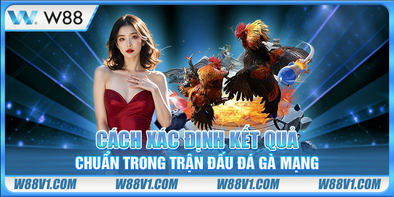 Đá Gà Mạng Là Gì? Quy Tắc Và Chiến Thuật Chơi Nhanh Thắng Cách xác định kết quả chuẩn trong trận đấu đá gà mạng