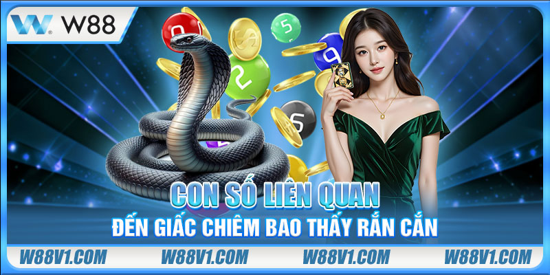 Nằm Mơ Thấy Rắn Cắn Báo Hiệu Gì? Đánh Số Mấy Dễ Trúng? Con số liên quan đến giấc chiêm bao thấy rắn cắn