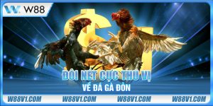 Đôi nét cực thú vị về đá gà đòn