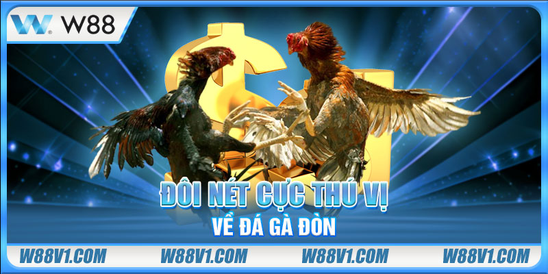 Đá Gà Đòn - Hiểu Đúng Để Thắng Đậm Cực Đã Mỗi Ngày Đôi nét cực thú vị về đá gà đòn