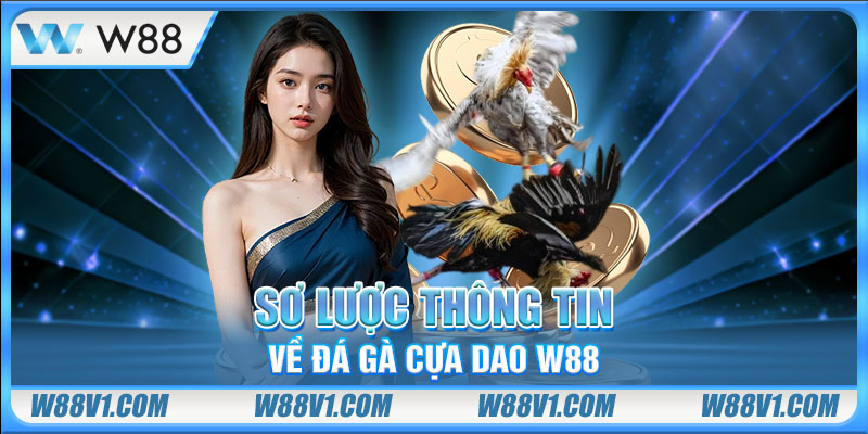 Tìm Hiểu Đá Gà Cựa Dao Và Những Kèo Cược Hấp Dẫn Tại W88 Sơ lược thông tin về đá gà cựa dao W88