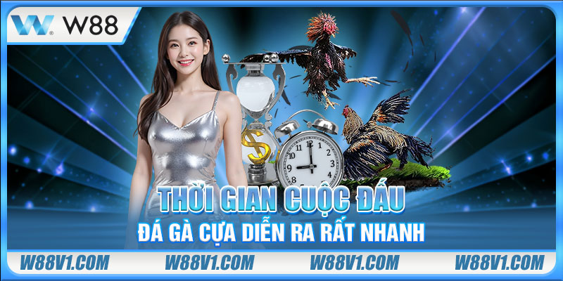 Đá Gà Cựa Sắt Là Gì? Dự Đoán Các Màn Đấu Chiến Kê Nảy Lửa Thời gian cuộc đấu đá gà cựa diễn ra rất nhanh