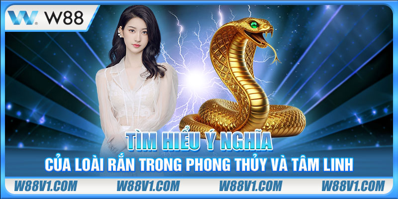 Nằm Mơ Thấy Rắn Cắn Báo Hiệu Gì? Đánh Số Mấy Dễ Trúng? Tìm hiểu ý nghĩa của loài rắn trong phong thủy và tâm linh