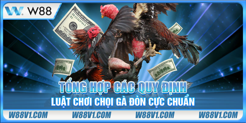 Đá Gà Đòn - Hiểu Đúng Để Thắng Đậm Cực Đã Mỗi Ngày Tổng hợp các quy định luật chơi chọi gà đòn cực chuẩn